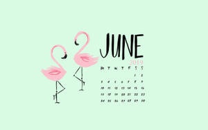 Pink Flamingos June Calendar 2019 Wallpaper