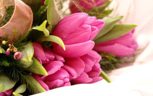 Pink Flower Arrangement Wallpaper