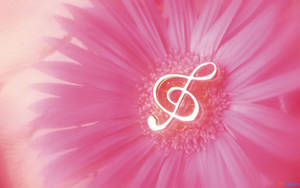 Pink Flower Music Note Wallpaper