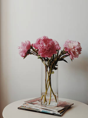 Pink Flowers Aesthetic In Glass Vase Wallpaper