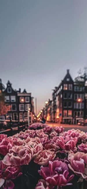 Pink Flowers In The Middle Of A City Wallpaper