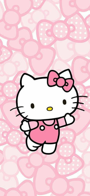 Pink Hello Kitty With Different Bows Wallpaper