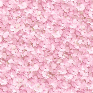 Pink Hydrangea Flower Texture Wallpaper