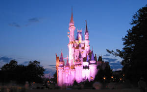 Pink Lights Walt Disney World Desktop Wallpaper