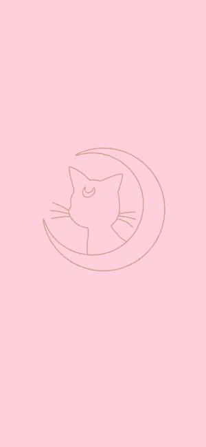 Pink Minimalism At Its Finest Wallpaper