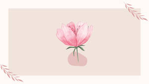 Pink Minimalist Flower Computer Wallpaper