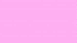 Pink Plain Aesthetic Tumblr Wallpaper