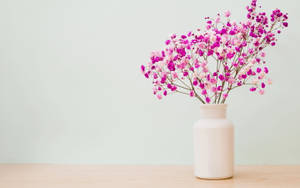 Pink Purple Beautiful Flower In Vase Wallpaper