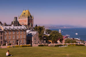 Pink Quebec City Field Wallpaper