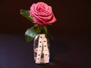 Pink Rose With White Heart Ribbon Wallpaper