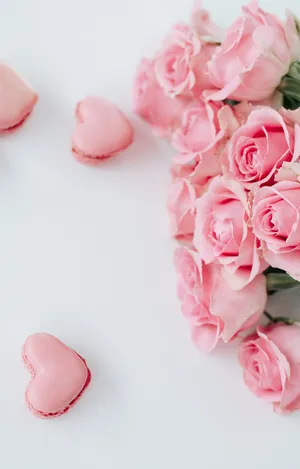 Pink Roses And Macarons On A White Background Wallpaper
