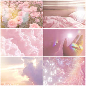 Pink Roses, Clouds, And A Bed Wallpaper