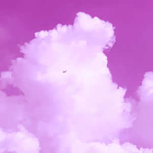 Pink Sky And Tiny Plane Background Wallpaper