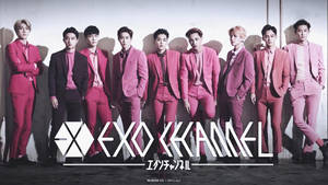 Pink Suit Exo Desktop Wallpaper