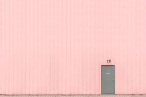 Pink Wall With Small Gray Door Wallpaper