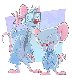 https://mrwallpaper.com/images/thumbnail/pinky-and-the-brain-doctor-gown-d5x9m3noqk7r0jtp.webp