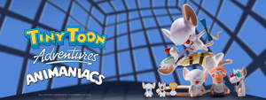 Pinky And The Brain Tiny Toon Art Wallpaper