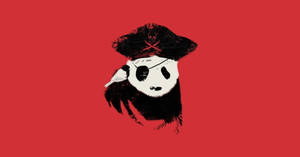 Pirate Panda Coolest Desktop Wallpaper