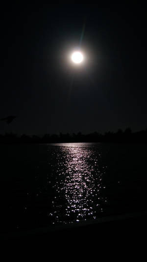 Pitch Black Calm Ocean With Sun Wallpaper