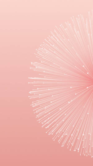 Pixel 3 Xl Displaying Beautiful Pink Circle Lines Wallpaper