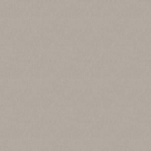 Plain Beige 1000 X 1000 Wallpaper