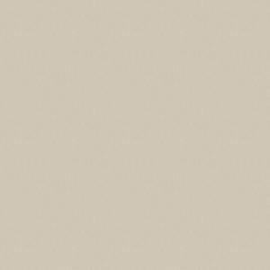 Plain Beige 1000 X 1000 Wallpaper