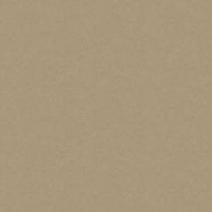 Plain Beige 1000 X 1000 Wallpaper