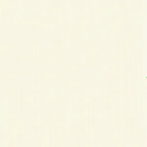 Plain Beige 1000 X 1000 Wallpaper