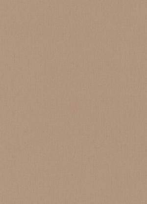 Plain Beige 1159 X 1600 Wallpaper