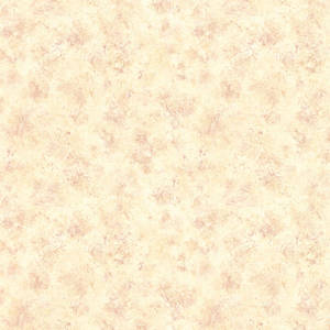 Plain Beige 1200 X 1200 Wallpaper
