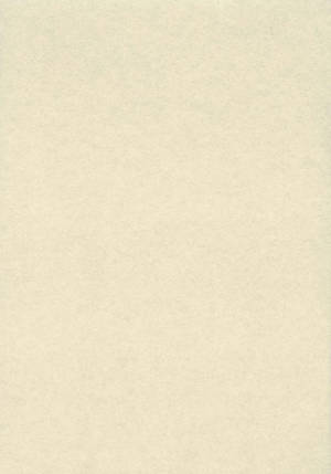 Plain Beige 840 X 1200 Wallpaper
