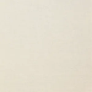 Plain Beige 900 X 900 Wallpaper