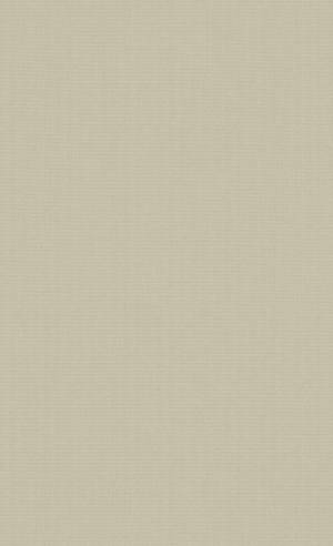 Plain Beige 914 X 1500 Wallpaper