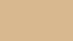 Plain Beige Background Wallpaper