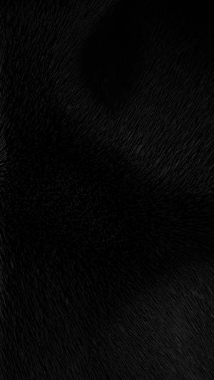Plain Black With Fur Pattern Wallpaper