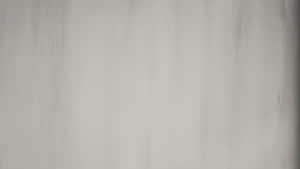 Plain Cool Gray Wallpaper
