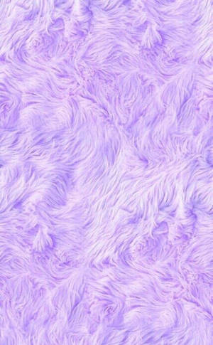 Plain Lila Fluffy Purple Iphone Wallpaper