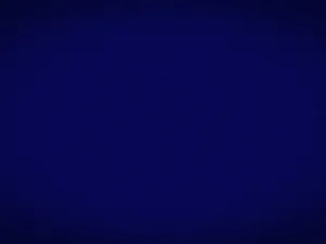 Plain Navy Blue With Light Vignette Wallpaper