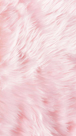 Plain Pink Fur Wallpaper