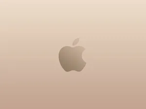 Plain Rose Gold Apple Wallpaper