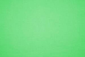 Plain Textured Light Green Wallpaper