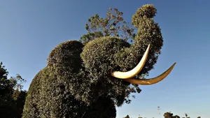 Plant Art Elephant Wallpaper