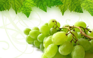 Plate Of Ripe Dominga Grapes Wallpaper