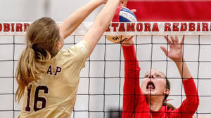 Play Volleyball Anywhere With A Powerful Laptop Wallpaper