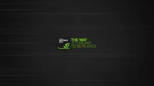 Play With Nvidia Wallpaper