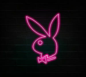 Playboy Logo Pink Neon Sign Wallpaper