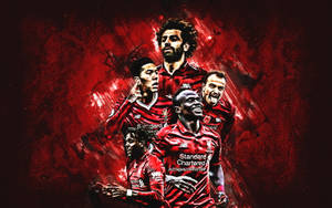 Players Of Fc Liverpool 4k Wallpaper