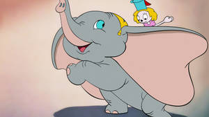 Playful Baby Dumbo Wallpaper