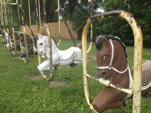 Playground Horse Swing Wallpaper