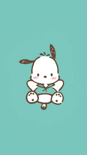 Pochacco In Turquoise Shirt Wallpaper
